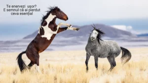 Gândirea critică: când viața ta profesională nu are nevoie de încă un plan, ci de o privire sinceră - Reinventează-Te